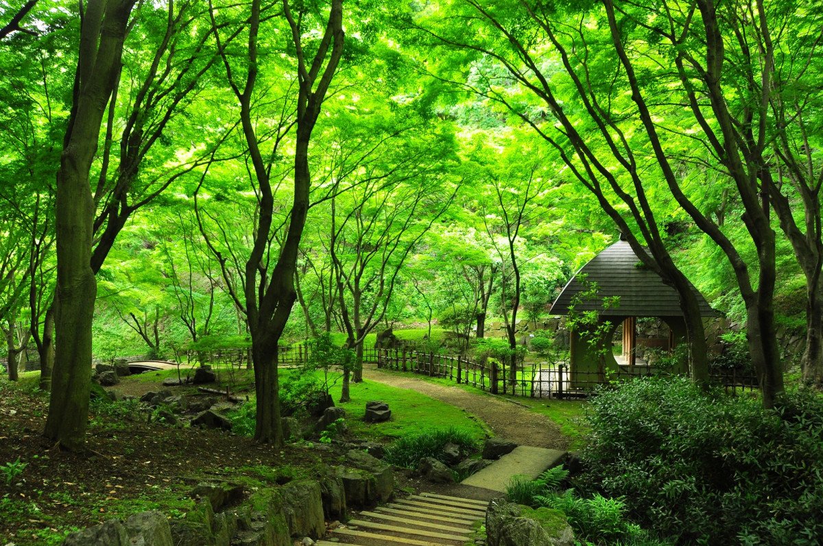 🌳 나나사와 삼림공원 (七沢森林公園) 이미지 1